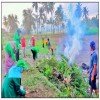 images